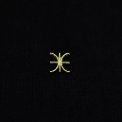 κρεμαστο συμβολο δελφικο εψιλον