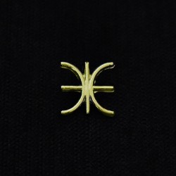 κρεμαστο συμβολο δελφικο εψιλον