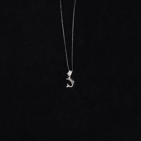 white gold pendant with dolphin