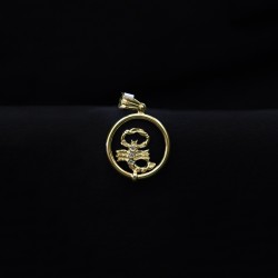 hanging scorpion neck