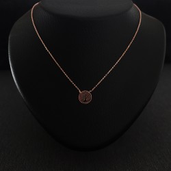 hanging with the tree of life