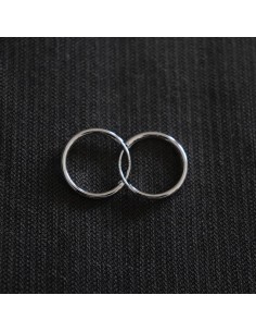 EARRINGS SILVER RINGS