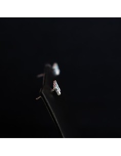 EARRINGS WITH BLUE BUTTERFLIES 2