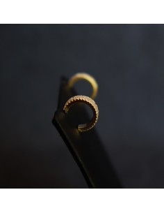 ΣΚΟΥΛΑΡΙΚΙΑ ΚΡΙΚΟΙ ΜΕ ΖΙΡΓΚΟΝ 2