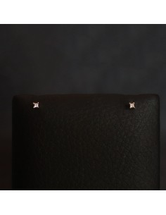 EARRINGS WITH ZIRCONIA